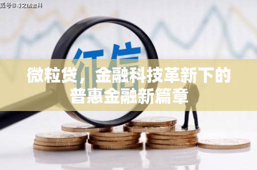 双清微粒贷，金融科技革新下的普惠金融新篇章