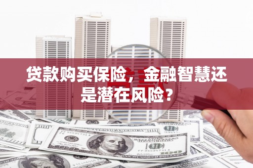 双清贷款购买保险，金融智慧还是潜在风险？