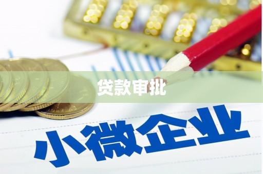 双清贷款审批