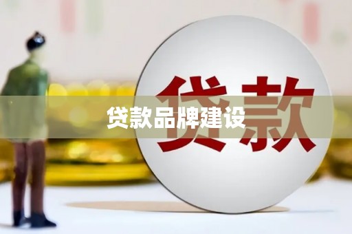 双清贷款品牌建设
