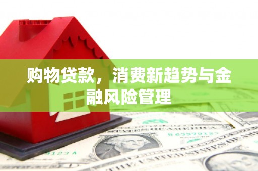 双清购物贷款，消费新趋势与金融风险管理