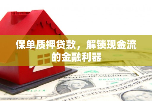双清保单质押贷款，解锁现金流的金融利器
