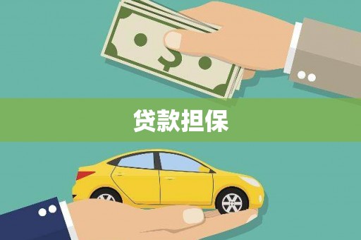 双清贷款担保