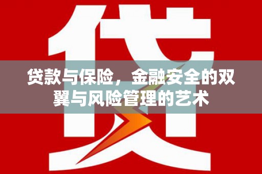 双清贷款与保险，金融安全的双翼与风险管理的艺术