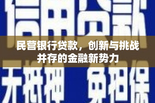 双清民营银行贷款，创新与挑战并存的金融新势力