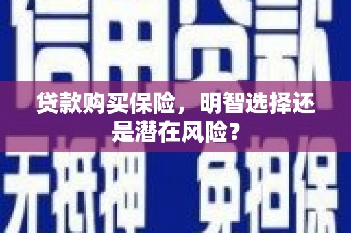 双清贷款购买保险，明智选择还是潜在风险？