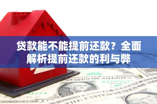 双清贷款能不能提前还款？全面解析提前还款的利与弊