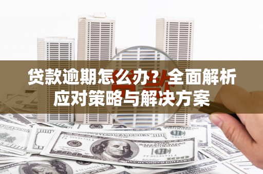 双清贷款逾期怎么办？全面解析应对策略与解决方案