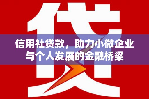 双清信用社贷款，助力小微企业与个人发展的金融桥梁
