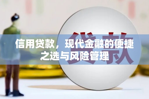 双清信用贷款，现代金融的便捷之选与风险管理