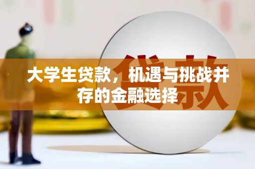 双清大学生贷款，机遇与挑战并存的金融选择