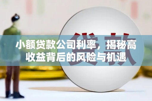 双清小额贷款公司利率，揭秘高收益背后的风险与机遇