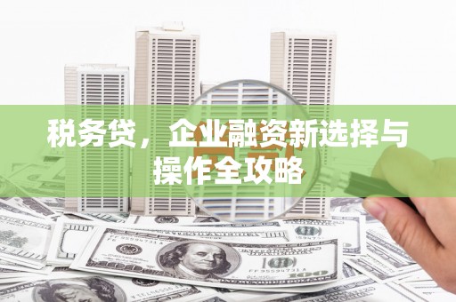 双清税务贷，企业融资新选择与操作全攻略