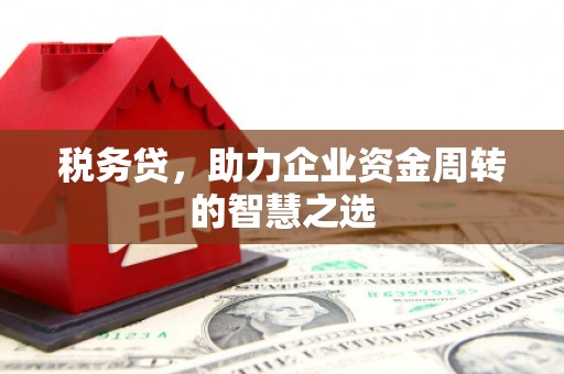 双清税务贷，助力企业资金周转的智慧之选