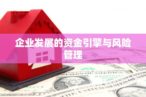 双清企业发展的资金引擎与风险管理