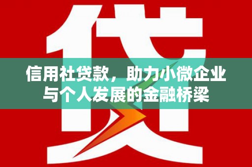 双清信用社贷款，助力小微企业与个人发展的金融桥梁