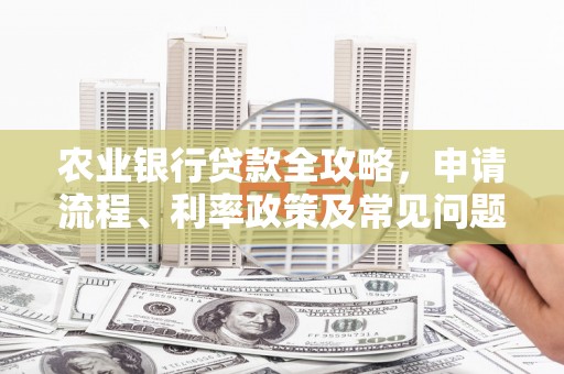 双清农业银行贷款全攻略，申请流程、利率政策及常见问题解析