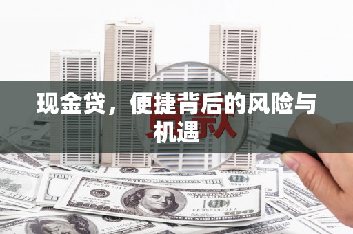 双清现金贷，便捷背后的风险与机遇
