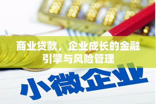 双清商业贷款，企业成长的金融引擎与风险管理
