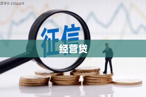 双清经营贷