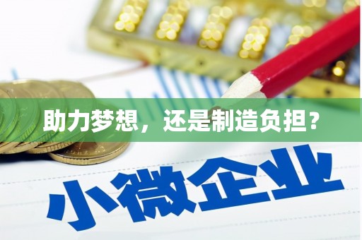 双清助力梦想，还是制造负担？
