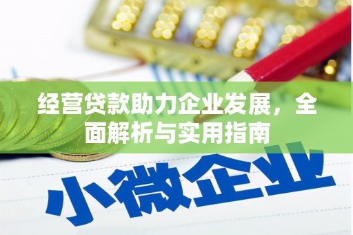 双清经营贷款助力企业发展，全面解析与实用指南