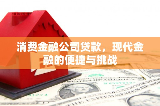 双清消费金融公司贷款，现代金融的便捷与挑战
