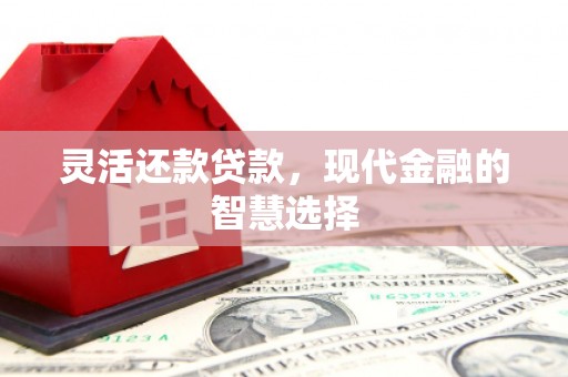 双清灵活还款贷款，现代金融的智慧选择