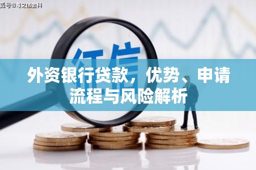 双清外资银行贷款，优势、申请流程与风险解析