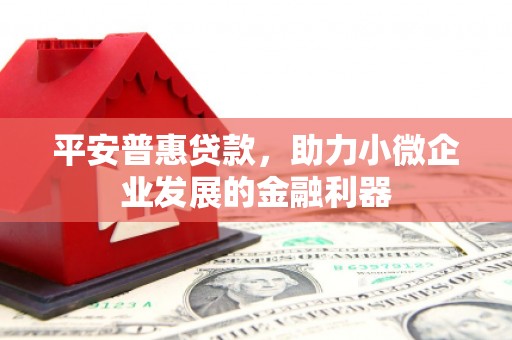双清平安普惠贷款，助力小微企业发展的金融利器