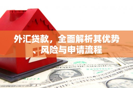 双清外汇贷款，全面解析其优势、风险与申请流程