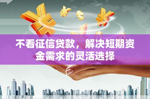 双清不看征信贷款，解决短期资金需求的灵活选择