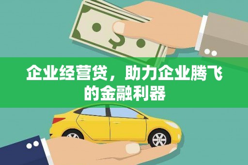 双清企业经营贷，助力企业腾飞的金融利器