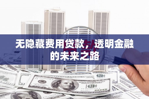 双清无隐藏费用贷款，透明金融的未来之路