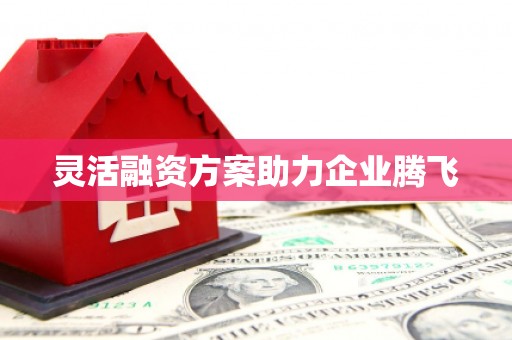 双清灵活融资方案助力企业腾飞
