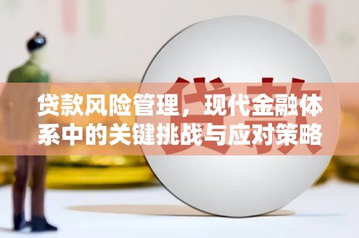 双清贷款风险管理，现代金融体系中的关键挑战与应对策略