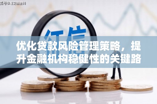 双清优化贷款风险管理策略，提升金融机构稳健性的关键路径