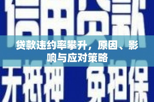 双清贷款违约率攀升，原因、影响与应对策略