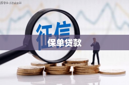 双清保单贷款