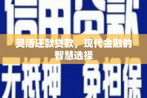 双清灵活还款贷款，现代金融的智慧选择