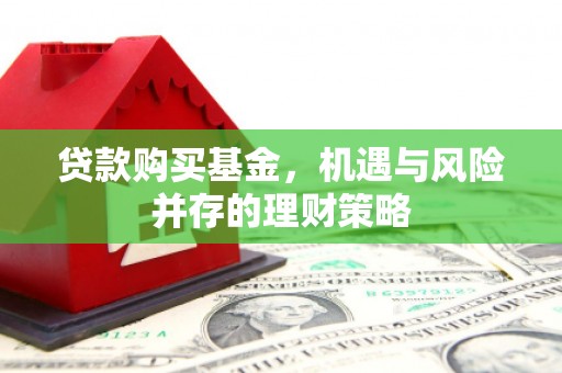 双清贷款购买基金，机遇与风险并存的理财策略