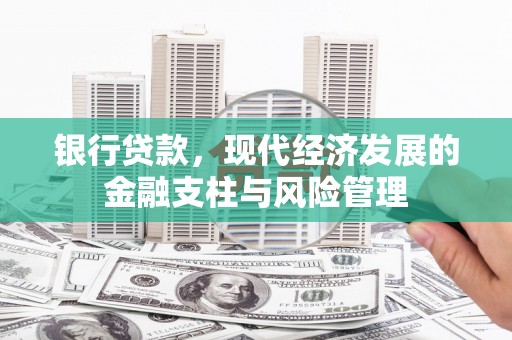 双清银行贷款，现代经济发展的金融支柱与风险管理