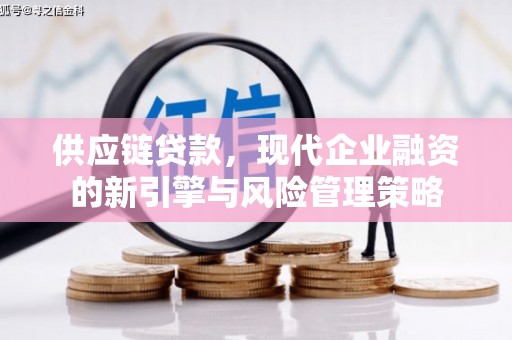 双清供应链贷款，现代企业融资的新引擎与风险管理策略