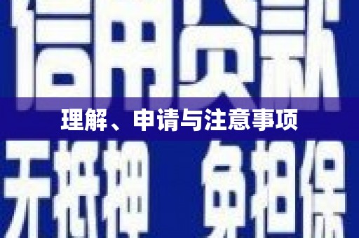 双清理解、申请与注意事项
