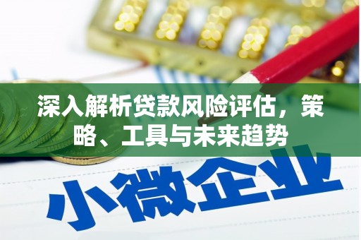 双清深入解析贷款风险评估，策略、工具与未来趋势