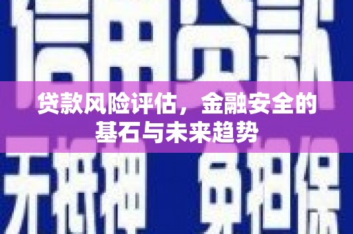 双清贷款风险评估，金融安全的基石与未来趋势