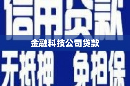 双清金融科技公司贷款