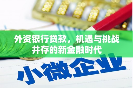 双清外资银行贷款，机遇与挑战并存的新金融时代