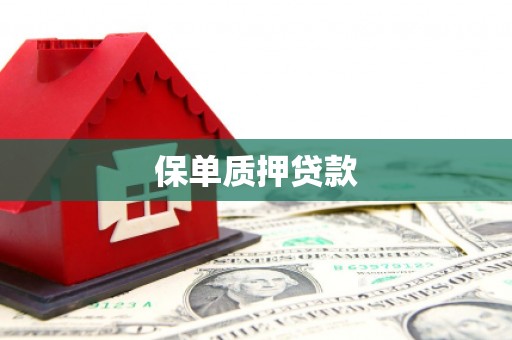 双清保单质押贷款