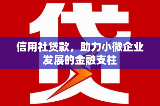 双清信用社贷款，助力小微企业发展的金融支柱